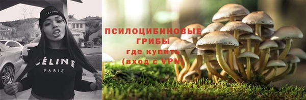 прущая мука Алексин