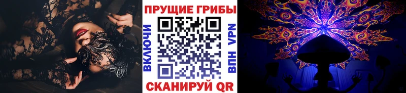 Галлюциногенные грибы Psilocybine cubensis  Чёрмоз 